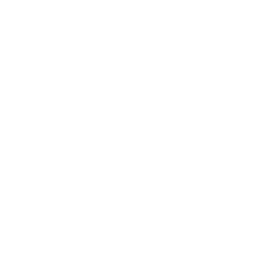 By The Rai logo